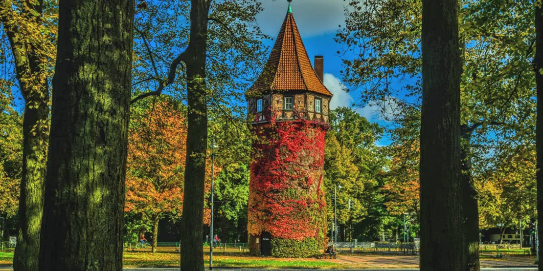 Döhrener Turm mit herbstlich verfärbten Efeubewuchs